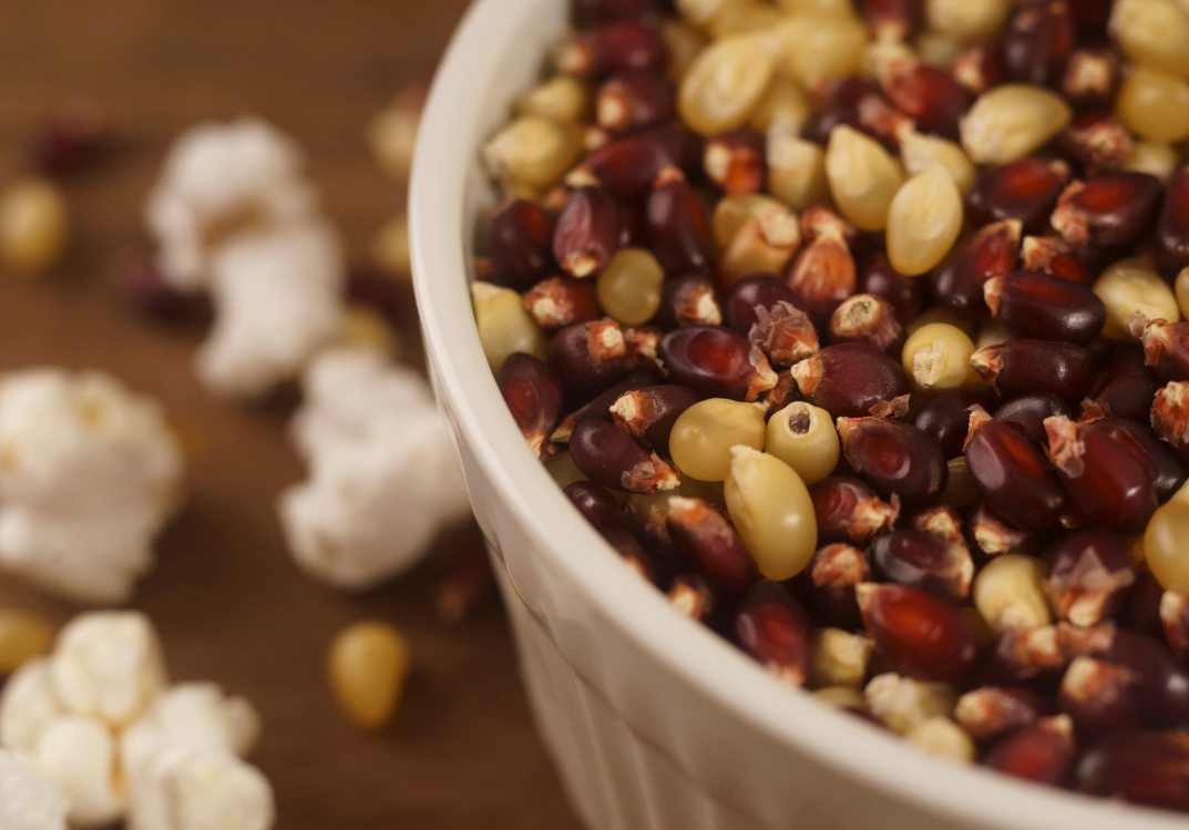 Fireside Blend Popcorn Kernels