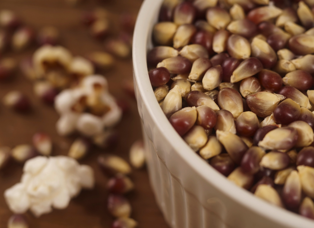 Purple Popcorn Kernels