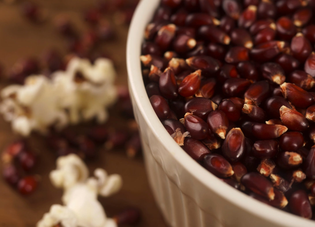 Red Popcorn Kernels
