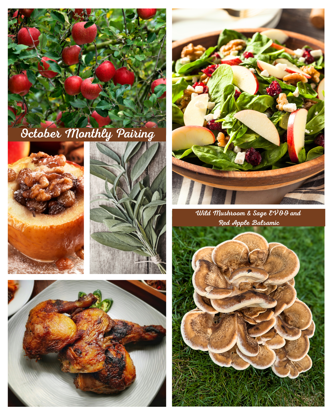 October Pairing - Wild Mushroom and Sage Infused Olive Oil + Aged Red Apple Balsamic Vinegar