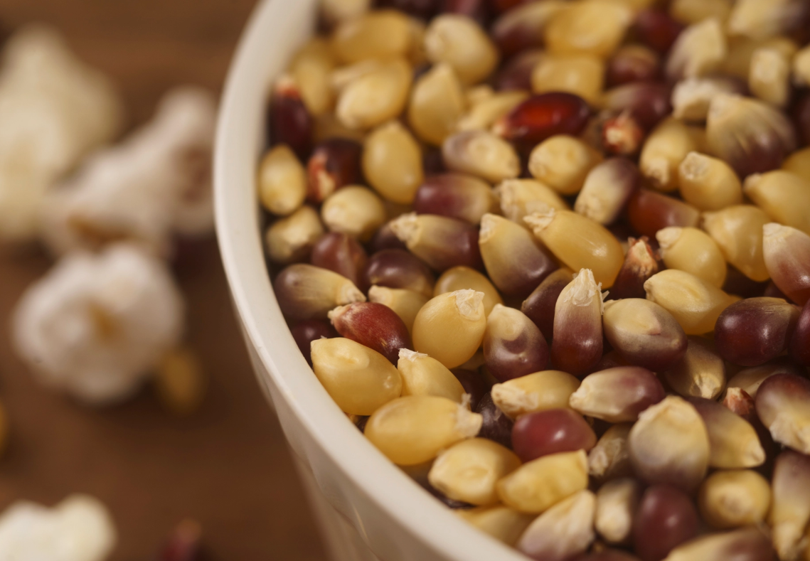 Autumn Medley Popcorn Kernels