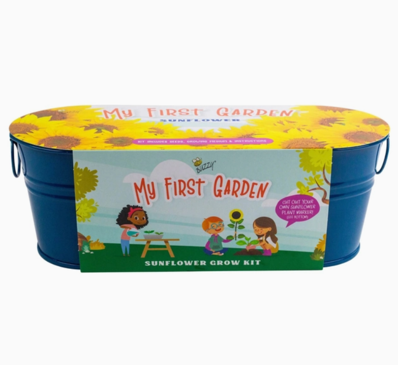 Painted Windowsill Grow Kit | Sunflower | Kids Garden