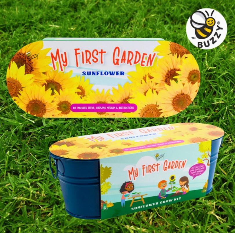 Painted Windowsill Grow Kit | Sunflower | Kids Garden